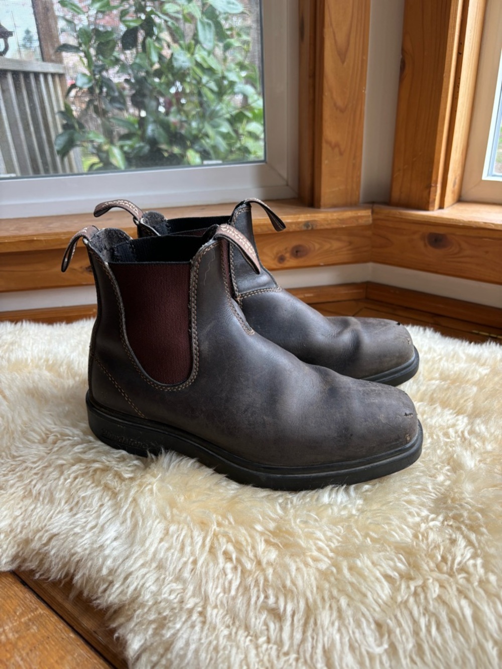 Blundstone Boots